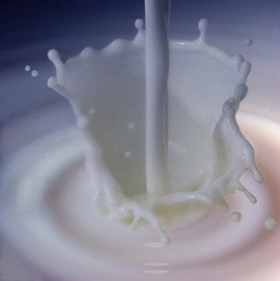 1 kg Leche de polvo All Dairy skimmed Milk Powder scremato ad uso alimenticio soluble liofilizzato Milk Powder Nestle