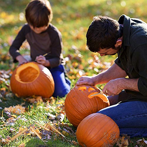 14 Piezas Kit de Talla de Calabaza Halloween con 2 Luces LED, Corte de Calabaza de Halloween profesionales Acero Inoxidable con 10 Plantillas, Herramientas de Talla de Calabaza para Jack-o-Lantern