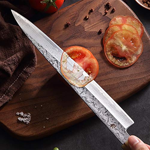 1pc Japón AUS-10 67 Las capas de cuchillo sashimi japonés Damasco sauce Filete de pescado Sushi cuchillo cortador de la carne rebanada salmones Forja cuchillo (Color : 10 inch Damascus)