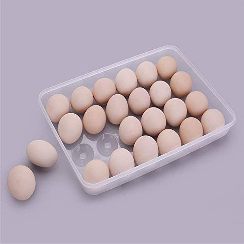 2 Piezas Caja Envase para Huevos, Cartón de Huevos Plástico, para la Nevera Caja con Tapa Huevera Plástico, Puede Contener 24