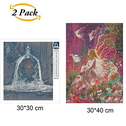 2 piezas de bricolaje 5D Diamond pintura arte completo taladro, flor Queen Elf y belleza y bestia Rose 5D Diamond Art, pintura de diamante conjunto bricolaje Art Deco (30 * 30 cm y 30 * 40 cm)