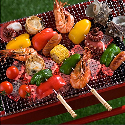 24 x Metal de acero inoxidable reutilizable para barbacoa. Pinchos con mango de madera, 30 cm, Palos de Kabab de metal trenzado – -juego de 24