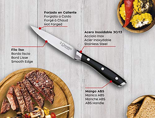 3 Claveles Juego de 4 cuchillos de carne Set cuchillos cocina profesional Set 4 cuchillos chuleteros cuchillo set de utensilios cocina aptos para lavavajillas de mango ABS