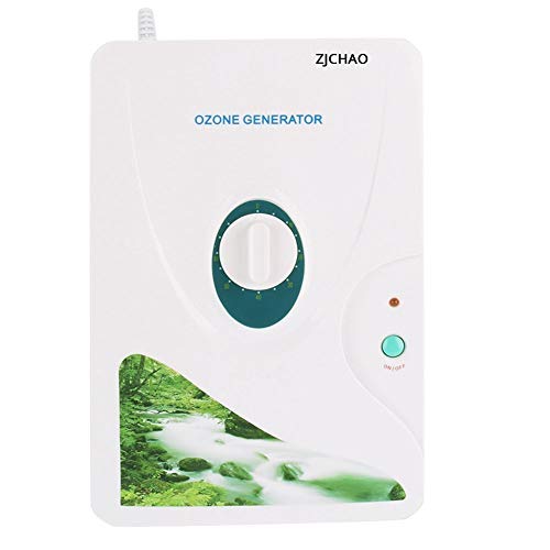 600 mg/h Digital de Ozono generador de ozono desintoxicación Máquinas Para frutas verduras carne Agua dulce Hydro ponics