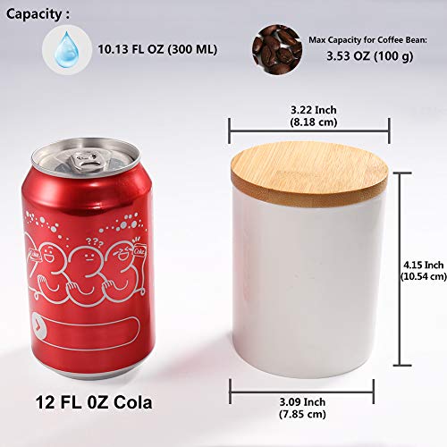 77L Tarro de Almacenamiento de Alimentos, 300 ML (10.13 FL OZ), Almacenamiento de Cocinacon Tapa de Bambú & Anillo de Sellado de Silicona -Para Servir té, Café y Más