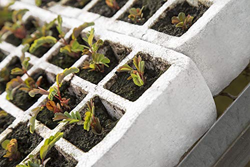 8 Bandejas de germinación de pórex, semilleros de Corcho Blanco con 216 Orificios