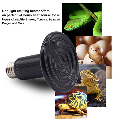 AIICIOO L¨¢mpara de Calefacci¨®n de CER¨¢Mica para Terrario No Hay Luz para la Tortuga/Serpiente/Drag¨®n Barbudo Bombilla Calor Reptiles (75w)