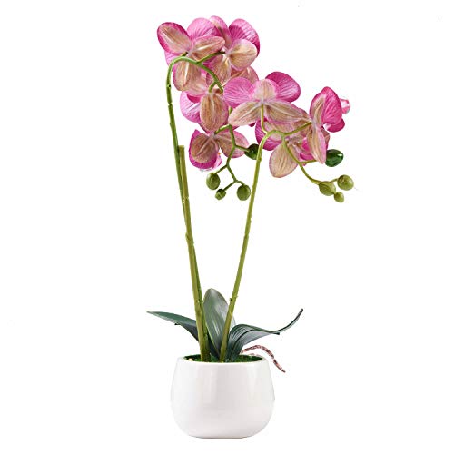 Alicemall 33cm Flor Artificial orquídea de Seda Phalaenopsis en Maceta