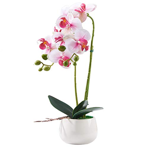 Alicemall 33cm Flor Artificial orquídea de Seda Phalaenopsis en Maceta