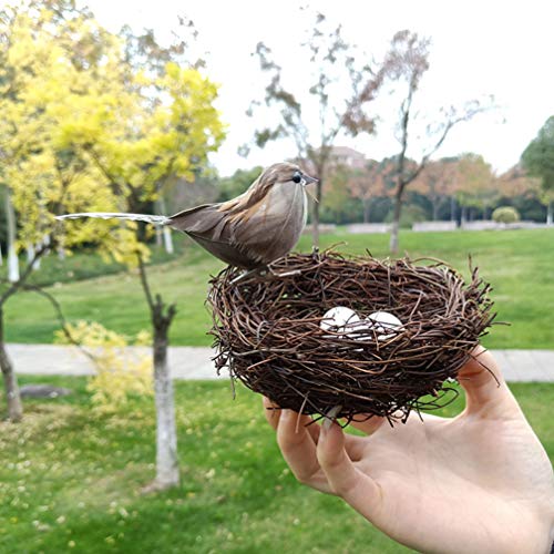 Amosfun 5 Piezas de Nido de pájaro Artificial y Huevos de Plumas de Ave estatuilla Falso pájaro Adorno decoración para niños Dormitorio de niños