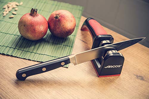 Arcos Universal Cuchillo jamonero flexible, 280 mm (estuche) + 610600 Afilador con mango