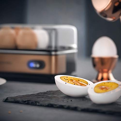 arendo - Cocedor de Huevos Cuecehuevos con función de Mantenimiento de Calor - Egg Cooker - Capacidad 1-6 Huevos - de Acero Inoxidable - Interruptor de función con piloto - 400 W - Negro Cobre