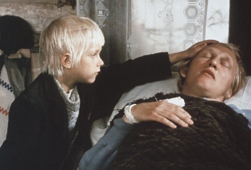 Astrid Lindgren: Michel aus Lönneberga - Alle 3 Michel-Spielfilme in dieser Box (Spielfilm-Edition, 3 Discs) [Alemania] [DVD]
