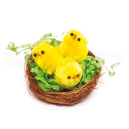 Baker Ross E8623 Mini Nidos de Pájaros (Paquete de 15) Esencial para manualidades decorativas de Pascua y Primavera