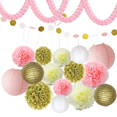 BeiLan 18Pcs Pompones de Papel decoración,Decoración Fiesta,papel de seda, 9 Pom Poms, 2 papel puntos, 4 Guirnalda de papel,6 linternas de papel para el cumpleaños, el casarse,etc