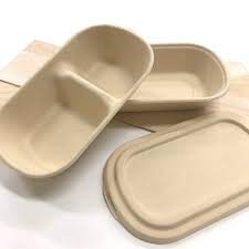 bio3 Contenedores Desechables para Llevar con Tapa, envase Comida para Llevar, 100% Biodegrdables y Compostables, 24x14x6cm, Capacidad 800ml, Paquete con 25 Juegos (sin Compartimentos)