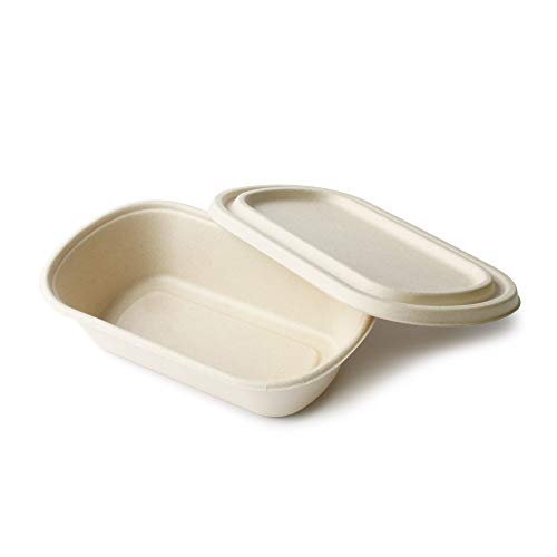 bio3 Contenedores Desechables para Llevar con Tapa, envase Comida para Llevar, 100% Biodegrdables y Compostables, 24x14x6cm, Capacidad 800ml, Paquete con 25 Juegos (sin Compartimentos)