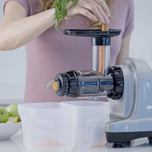 BioChef Axis Cold Press Juicer - Extractor de zumo horizontal, Procesador de alimentos, BPA Free y Silencioso. 20 Años de Garantía (Plata)