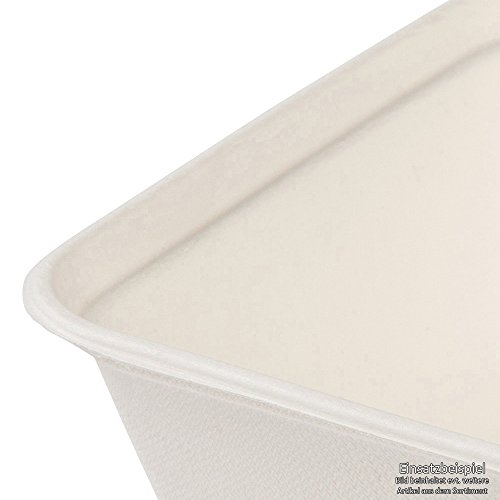 BIOZOYG Tazón Rectangular orgánico desechable de bagazo caña de azúcar vajilla Biodegradable I Caja menú sin Dividir desechable compostables 500 ml I 125 Cajas rectangulares 12x17 cm Blanco