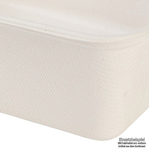 BIOZOYG Tazón Rectangular orgánico desechable de bagazo caña de azúcar vajilla Biodegradable I Caja menú sin Dividir desechable compostables 500 ml I 125 Cajas rectangulares 12x17 cm Blanco