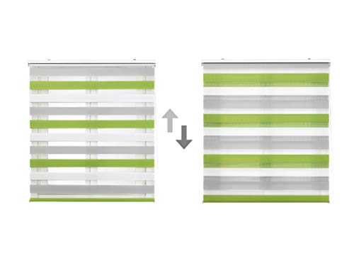Blindecor Lira Estor Enrollable Doble Tejido, Noche y día, Poliéster, Gris Pistacho , 180x180 (ancho x largo)