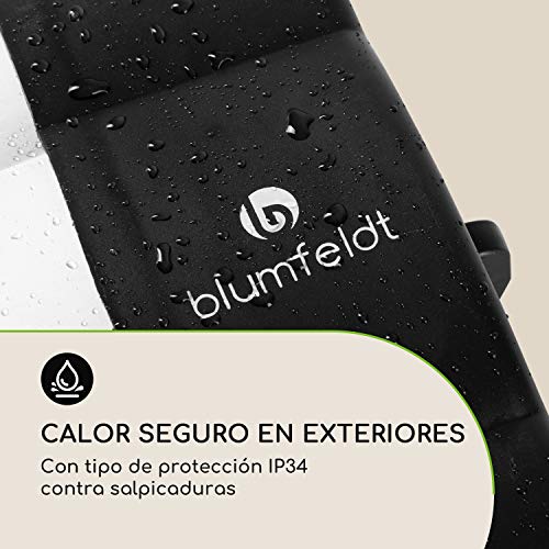 Blumfeldt Rising Sun Mono - Calefactor infrarrojo, Calefactor de exteriores, Distribuye el calor, 2500 W, Certificado IP34, Altura regulable, Motor de carbono, De pie o en la pared, Plateado