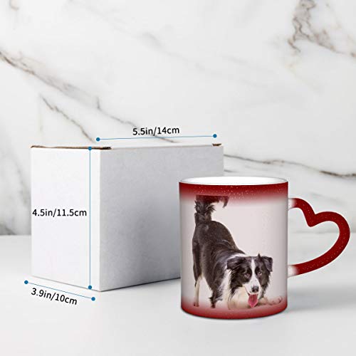 Border Collie Puppy Cat Pet Heat Exchange Magic Coffee Cup Un nuevo regalo de 11 onzas para familiares, niños y amigos