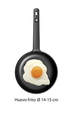 BRA Connect Sartén acero inoxidable con antiadherente Profile y tecnología Bi-Clad, apta para todo tipo de cocinas incluida inducción, libre de PFOA, 20 cm, Aluminio Fundido