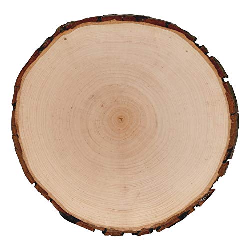 Bütic GmbH Corteza Tabla Fresno Redondo – Corteza – Placa Árbol Pulido Tabla de Madera, Madera, Ø ca. 8cm