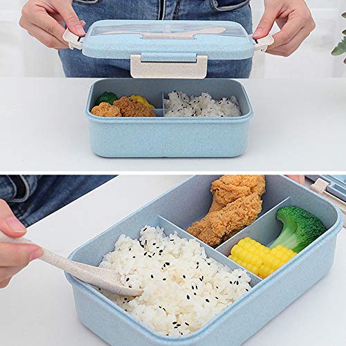 Caja de Bento, ZoneYan Lunch Box Infantil, Fiambreras con 3 Compartimentos, Cuchara Tenedor Lonchera, Fiambreras Caja de Almuerzo Ideal para Microondas (Azul)