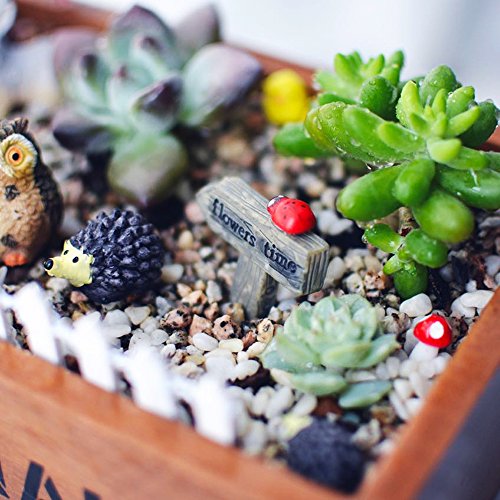 coardor adornos de jardín de hadas miniatura erizo seta búho árbol puente conejo pollito Signpost diseño de mariquita rosa valla DIY Casa de muñecas – Maceta de decoración hogar decoración Pack de 49