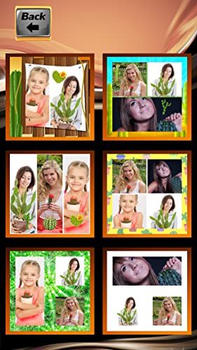 Collage de fotos de cactus