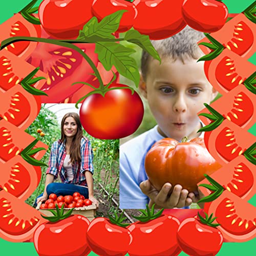 Collage de fotos de tomates