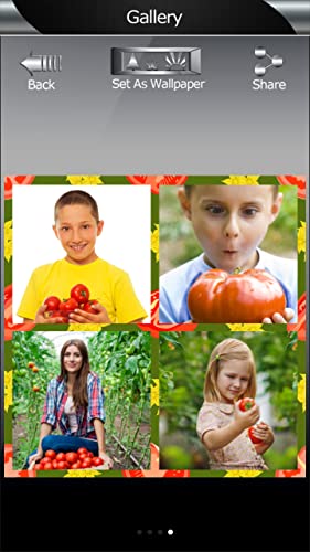 Collage de fotos de tomates