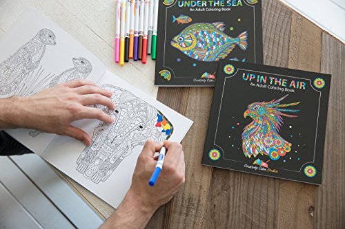 Creatively Calm Studios Tres libros, diseños de la tierra del cielo y el mar, libros para colorear para los adultos relajación