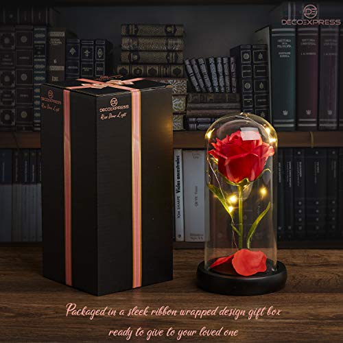 DECO EXPRESS Rosa Bella y Bestia Con Luces Led Suaves, Cupula de Cristal Con Pétalos Caidos y Base de Madera, Decoración Hogar, Regalos Originales Para Mujer San Valentin Dia de la Madre