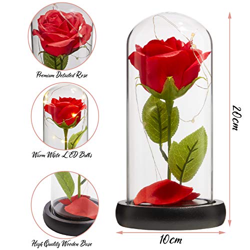 DECO EXPRESS Rosa Bella y Bestia Con Luces Led Suaves, Cupula de Cristal Con Pétalos Caidos y Base de Madera, Decoración Hogar, Regalos Originales Para Mujer San Valentin Dia de la Madre