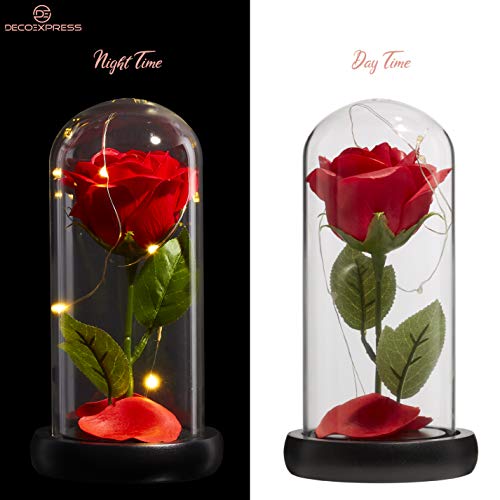 DECO EXPRESS Rosa Bella y Bestia Con Luces Led Suaves, Cupula de Cristal Con Pétalos Caidos y Base de Madera, Decoración Hogar, Regalos Originales Para Mujer San Valentin Dia de la Madre