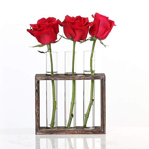 DEDC Tubo de Ensayo Hidropónico con Marco de Madera de 3 Agujeros Florero Jarrón de Vidrio Decorativo con Soporte para Jardinera Decoración de Casa Escritorio Regalo