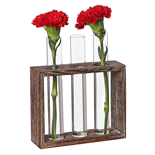 DEDC Tubo de Ensayo Hidropónico con Marco de Madera de 3 Agujeros Florero Jarrón de Vidrio Decorativo con Soporte para Jardinera Decoración de Casa Escritorio Regalo