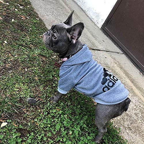 Ducomi Adidog - Sudadera con Capucha para Perros en Algodón Suave - Costuras Resistentes - Disponibles de XS a 8XL - Se envía Desde España (7XL, Gris)