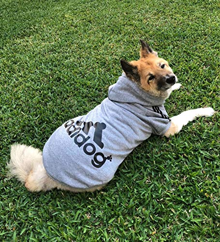 Ducomi Adidog - Sudadera con Capucha para Perros en Algodón Suave - Costuras Resistentes - Disponibles de XS a 8XL - Se envía Desde España (7XL, Gris)