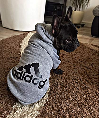 Ducomi Adidog - Sudadera con Capucha para Perros en Algodón Suave - Costuras Resistentes - Disponibles de XS a 8XL - Se envía Desde España (7XL, Gris)