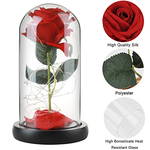 E-MANIS Kit de Rosas,La Bella y La Bestia Rosa Encantada,Elegante Cúpula de Cristal con Base Pino Luces LED,Beauty and Regalos Magicos Decoración para Día de San Valentín Aniversario Bodas