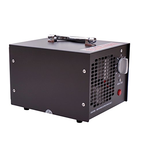 ECO-WORTHY 3.5 G 220 V Generador De Ozono Industriales - Purificador De Aire Ozono Purificador De Aire