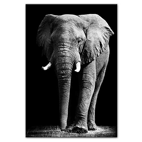 Elefante Pinturas sobre lienzo Animales en blanco y negro Carteles e impresiones de pared Cuadros de pared para sala de estar Sin marco