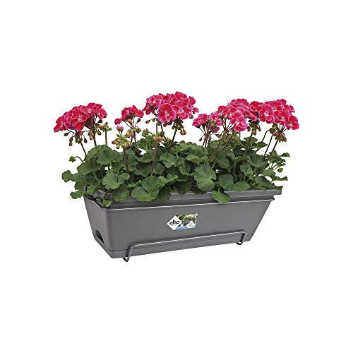 Elho Barcelona All-In-One Jardinero balcón, Antracita, L 50 x W 28.6 x H 21.4 cm