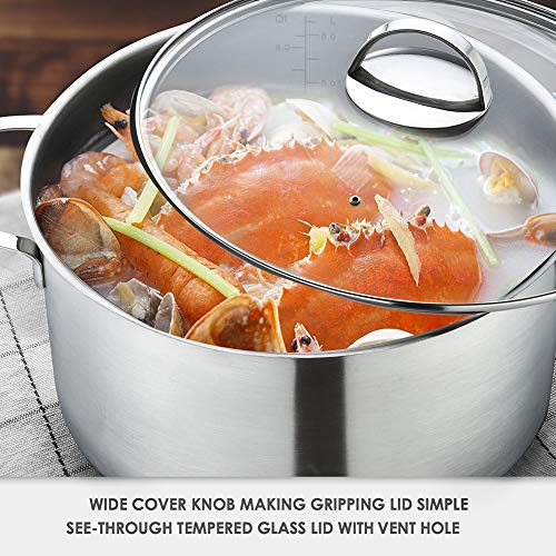 Eono by Amazon Cacerola grande para inducción de acero inoxidable pulido con tapa de vidrio templado y apta para horno y lavavajillas, 28 cm, 8 L, TG-2816