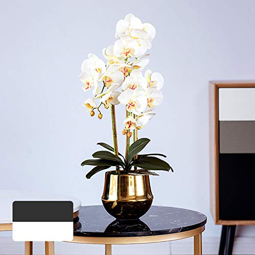 FagusHome 28 Pulgadas Flores Artificiales de Phalaenopsis 3 Piezas con 2 Paquetes Hojas Flores de orquídeas Artificiales Plantas de Tallo para decoración del hogar (Blanco)