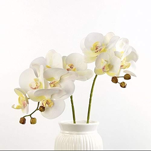 FagusHome 28 Pulgadas Flores Artificiales de Phalaenopsis 3 Piezas con 2 Paquetes Hojas Flores de orquídeas Artificiales Plantas de Tallo para decoración del hogar (Blanco)